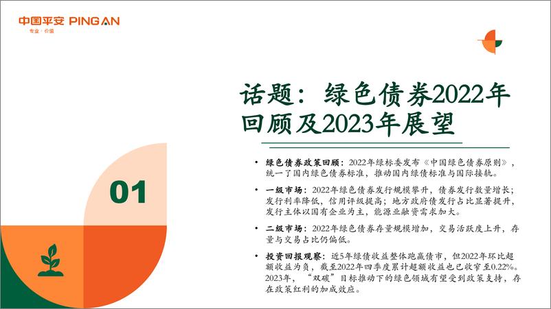 《新能源行业月酝知风之绿色能源与前瞻性产业：绿色债券市场回顾与展望，标准规范，稳步发展-20230203-平安证券-59页》 - 第5页预览图