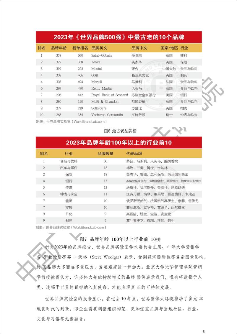 《2024年度中国品牌实力指数排行榜报告-中国广告主协会广告主研究院》 - 第6页预览图