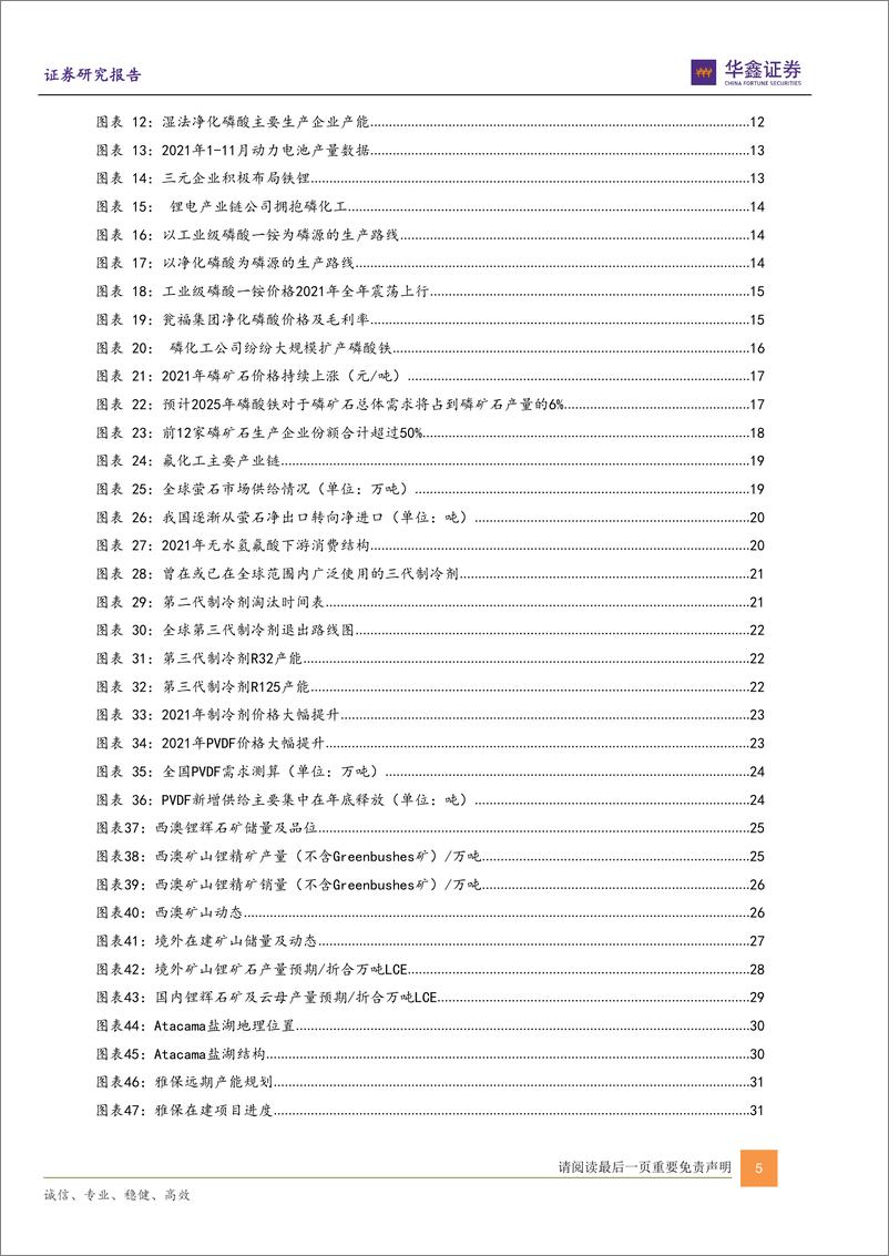 《化工新材料-年度策略：碳中和驱动新需求，塑造新格局》 - 第5页预览图