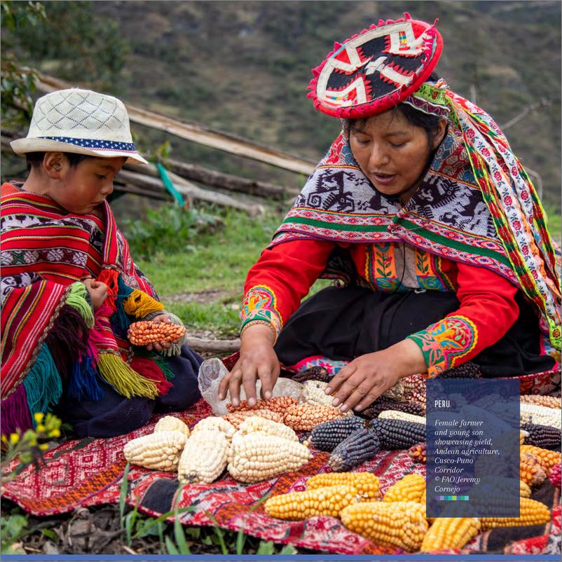 《FAO联合国粮农组织_2024年通过农业食品系统落实昆明-蒙特利尔全球生物多样性框架报告_英文版_》 - 第6页预览图