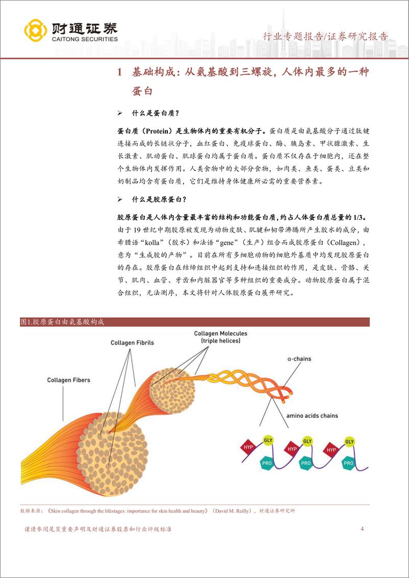 《胶原蛋白系列之一：结构、功能、自组装与交联 (1)》 - 第4页预览图
