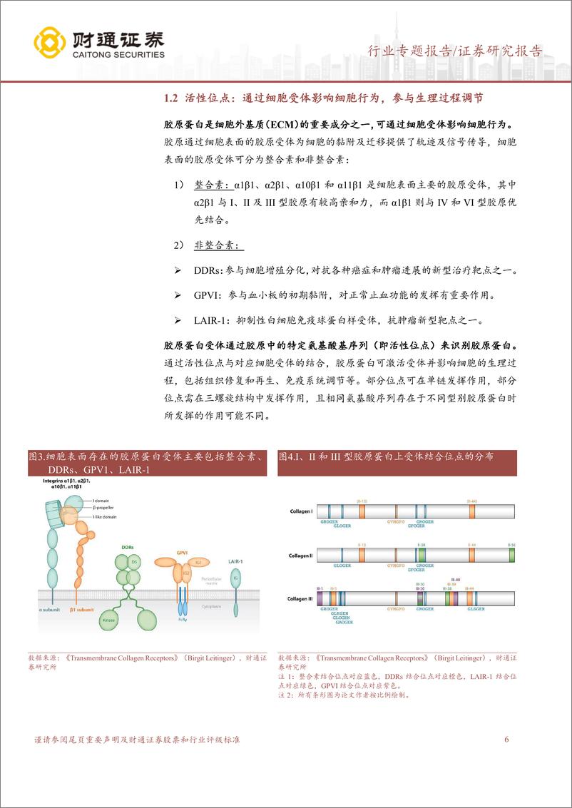 《胶原蛋白系列之一：结构、功能、自组装与交联 (1)》 - 第6页预览图