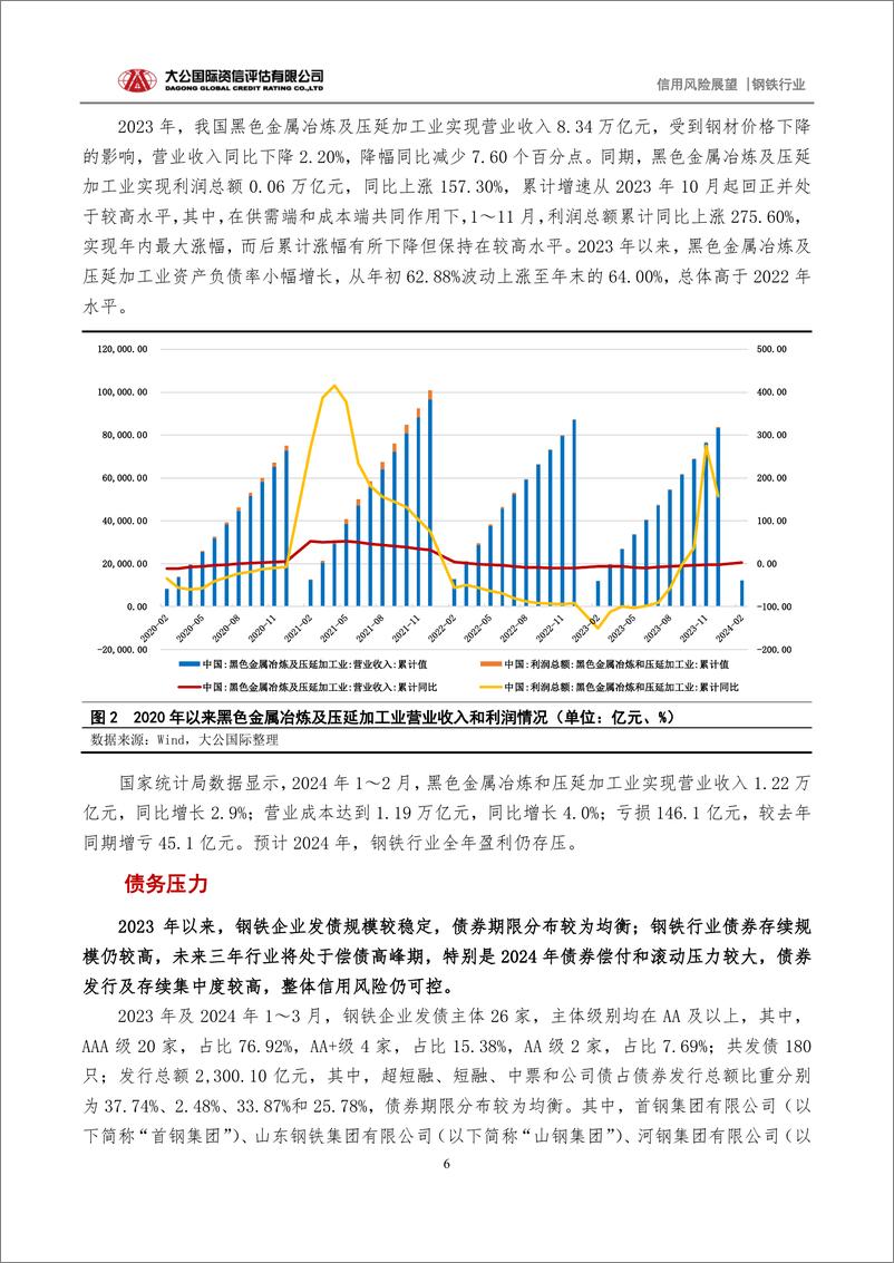 《大公国际-钢铁行业2024年信用风险展望：盈利承压促转型信用风险总可控》 - 第6页预览图