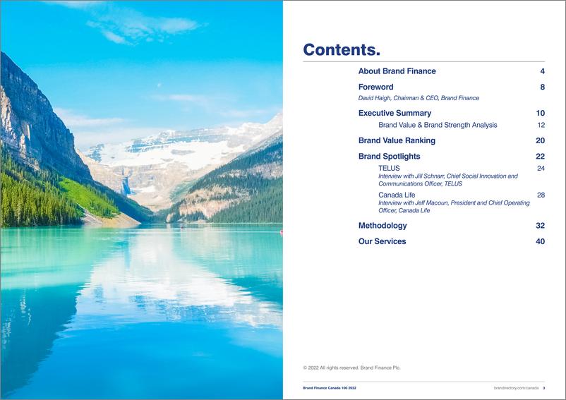 《品牌价值-加拿大最有价值和最强大100品牌的2022年度报告（英）-2022.3-25页》 - 第3页预览图