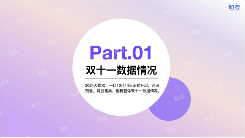 《_2024“双十一”整体销售复盘——箱包皮具-31页》 - 第2页预览图