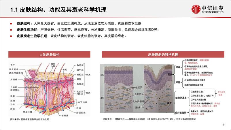 《美妆行业产业链“国产替代”之原料篇：国产原料兴起，助力本土美妆升级-20230601-中信证券-42页》 - 第6页预览图