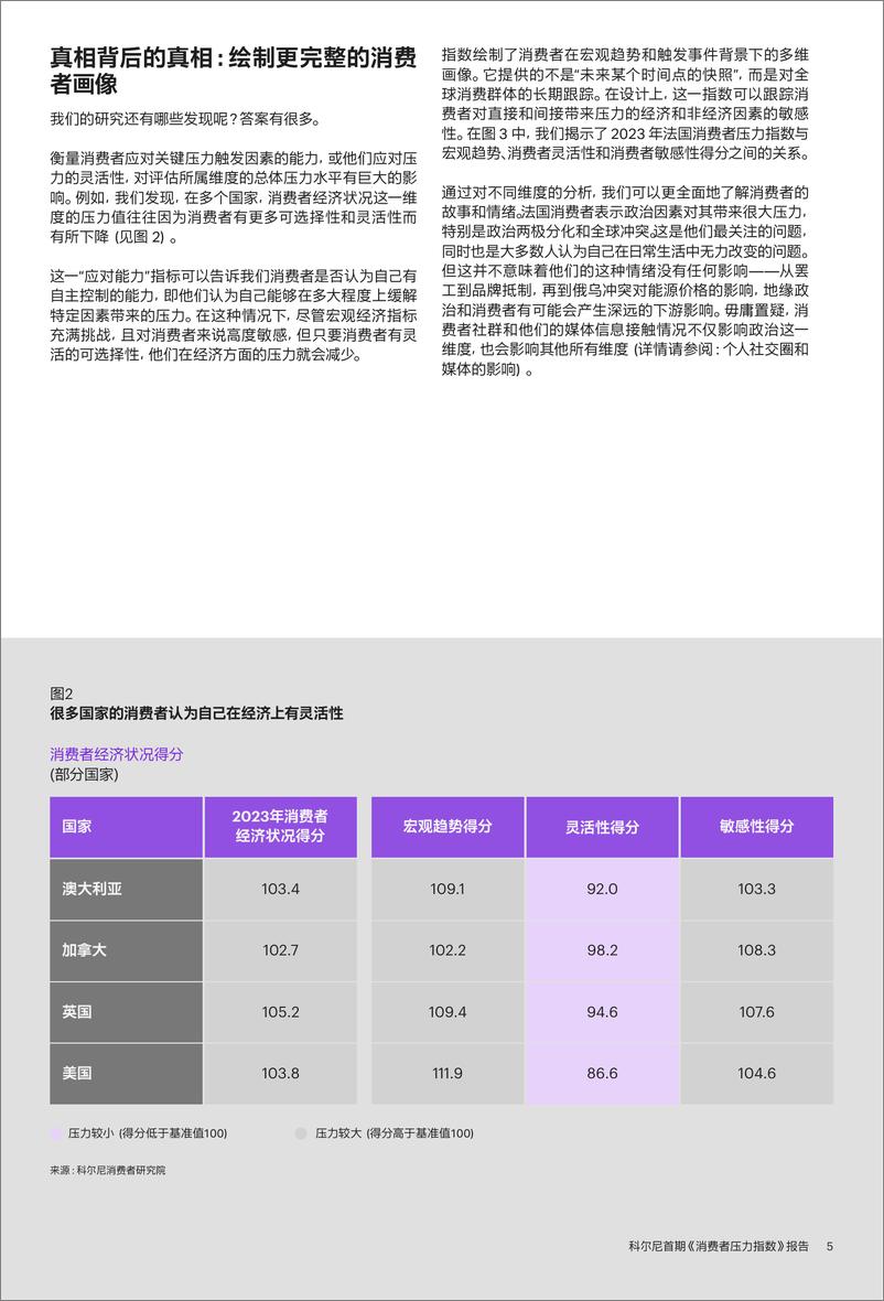 《科尔尼首期-消费者压力指数-报告》 - 第7页预览图