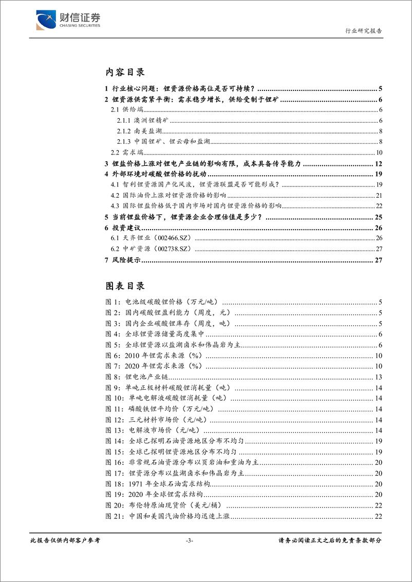 《有色金属行业：新能源产业链以“锂”服人，供需缺口支撑锂价格中枢上移-20220327-财信证券-28页》 - 第4页预览图