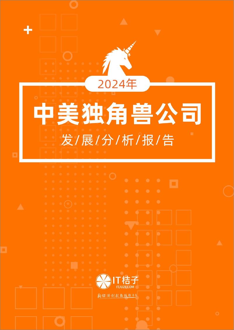 《IT桔子-2024年中美独角兽公司发展分析报告》 - 第1页预览图