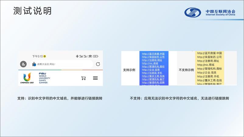 《中国互联网协会_中文域名应用测试报告_2024_》 - 第6页预览图