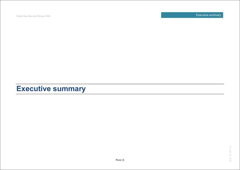 《2024年全球天然气安全评价》 - 第5页预览图