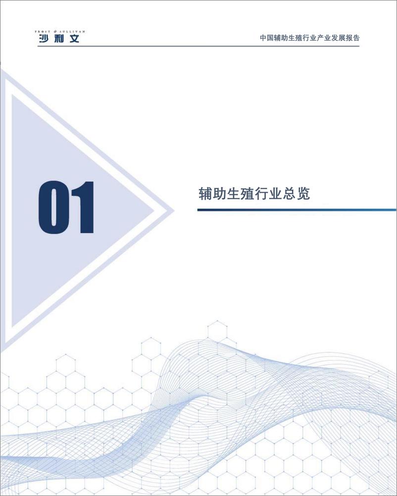 《2022中国辅助生殖行业产业现状与未来发展白皮书-沙利文》 - 第7页预览图