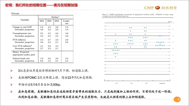 《工业金属月度汇报：宏观与基本面在长期与短期的共振-20220412-招商期货-41页》 - 第7页预览图