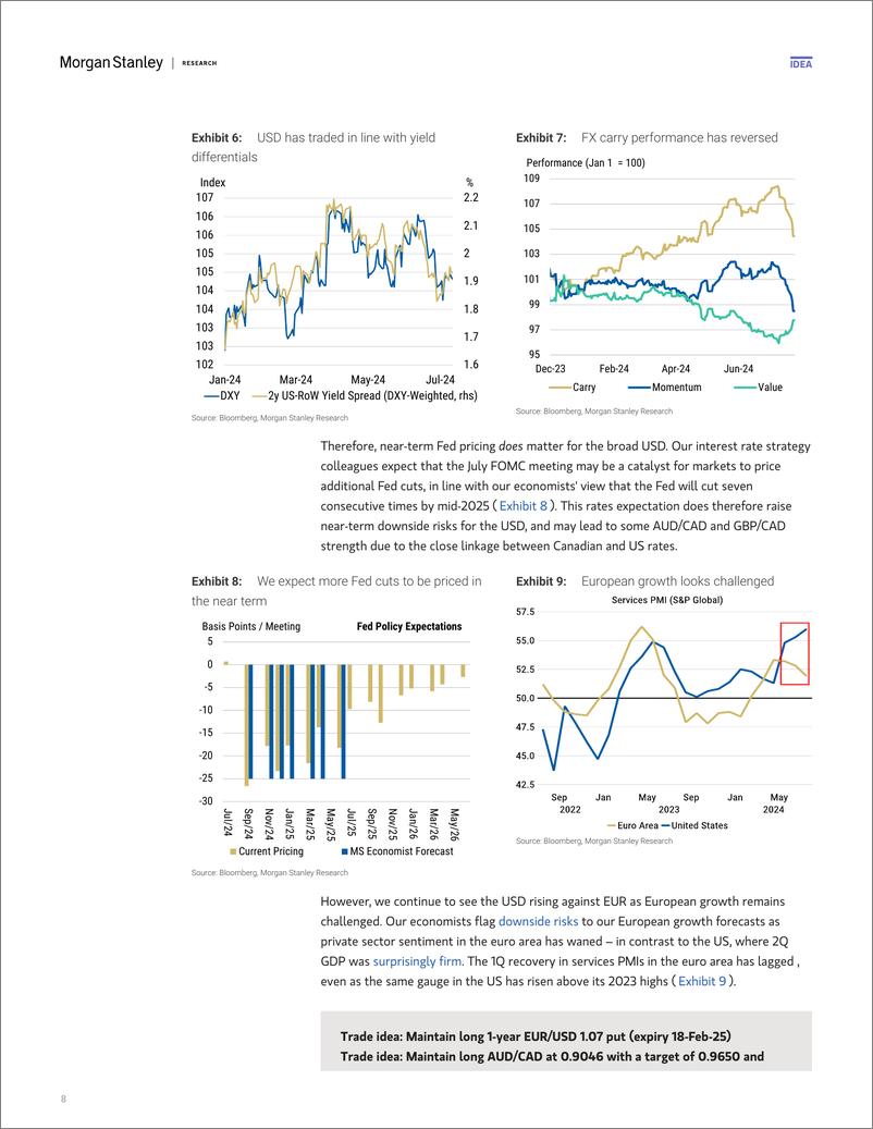 《Morgan Stanley Fixed-US Economics  Global Macro Strategy FOMC Preview July Mee...-109426616》 - 第8页预览图