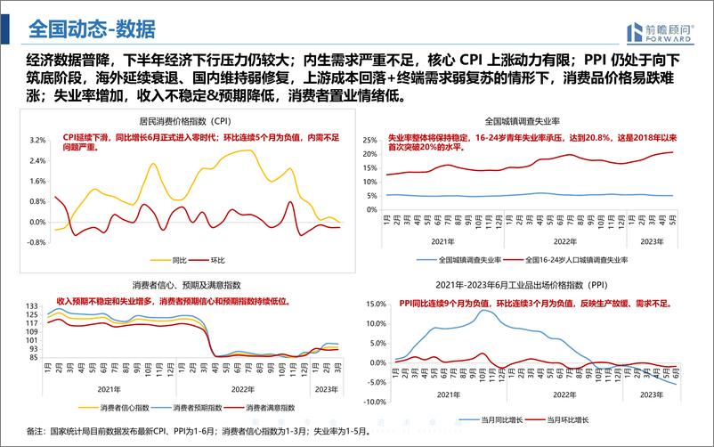 《【前瞻顾问】2023年上半年西安房地产市场报告7.14-58页》 - 第6页预览图