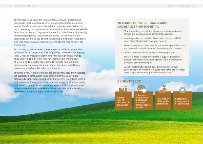 《2024重视草原——对自然、气候和人类至关重要的生态系统报告（英文版）-BirdLife》 - 第4页预览图