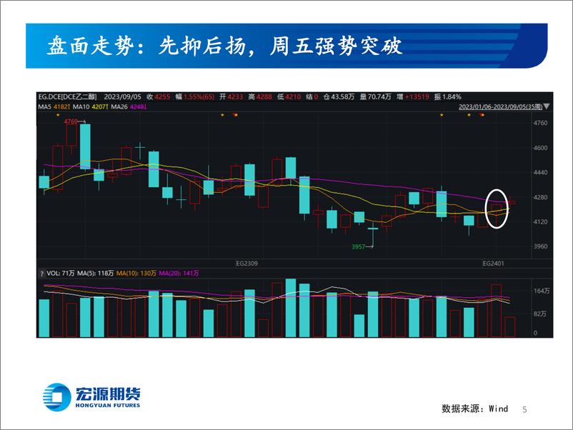 《强势突破仍欠东风-20230905-宏源期货-25页》 - 第6页预览图