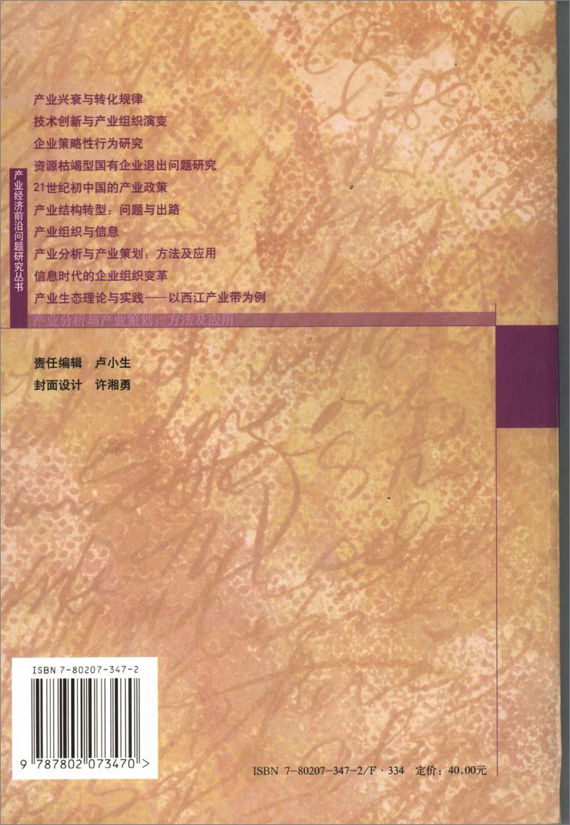 《电子书-产业分析与产业策划：方法及应用-389页》 - 第3页预览图