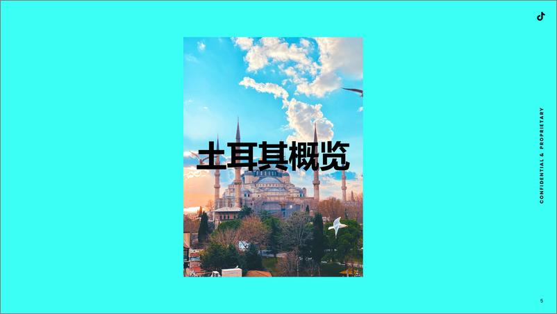 《全球市场百宝书-土耳其》 - 第4页预览图