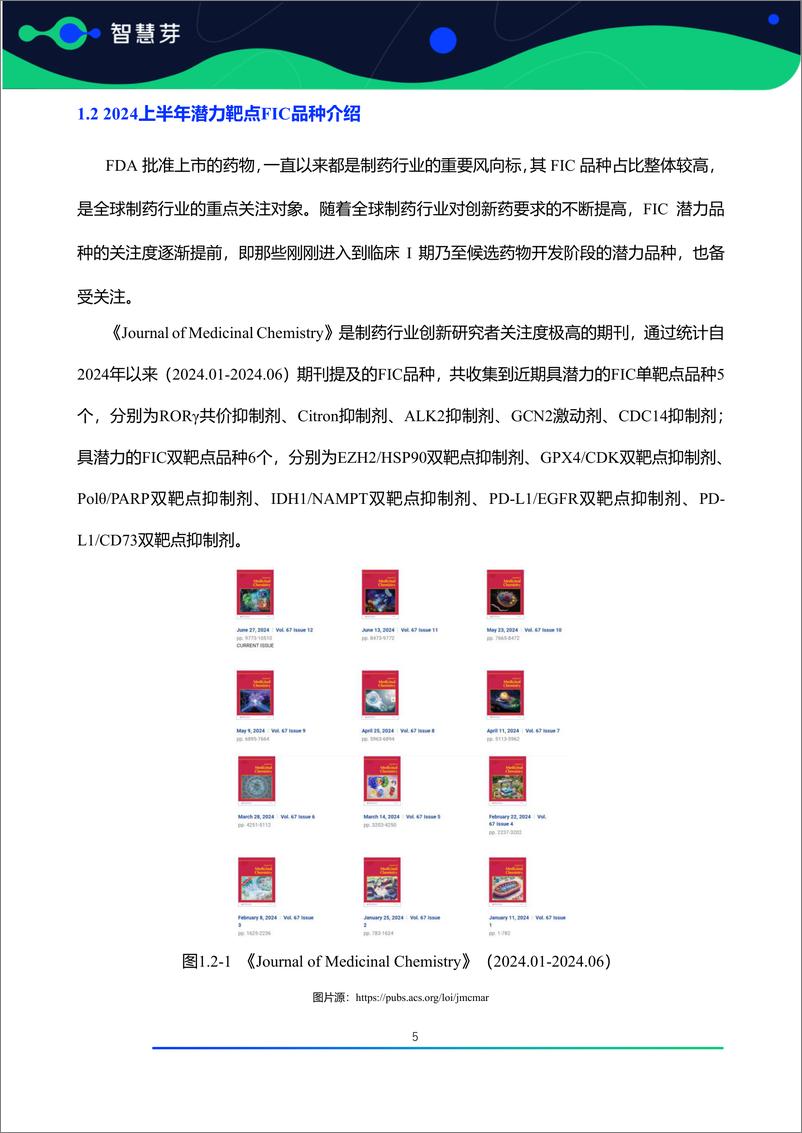 《全球潜力靶点及FIC产品研究调研报告（2024.01-2024.06）》 - 第6页预览图