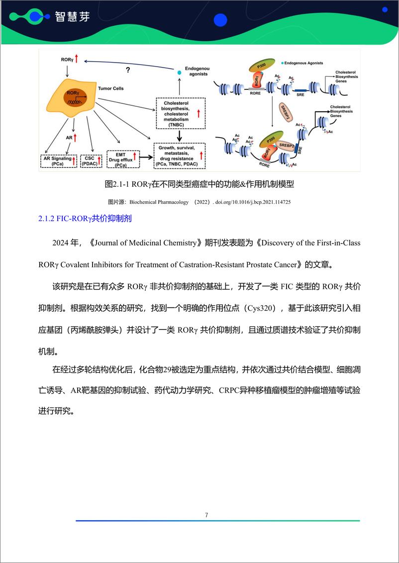 《全球潜力靶点及FIC产品研究调研报告（2024.01-2024.06）》 - 第8页预览图