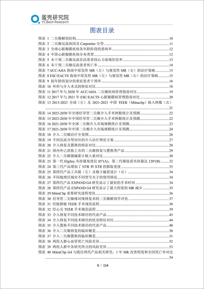 《蛋壳研究院：2024经导管二尖瓣介入治疗行业白皮书——TEER强者恒强，中国应用将驶入快车道》 - 第6页预览图