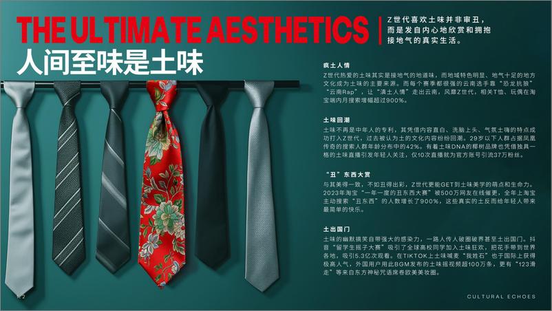 《折中一代：Z世代半推半就的人生-Dentsu Z-2024-32页》 - 第6页预览图