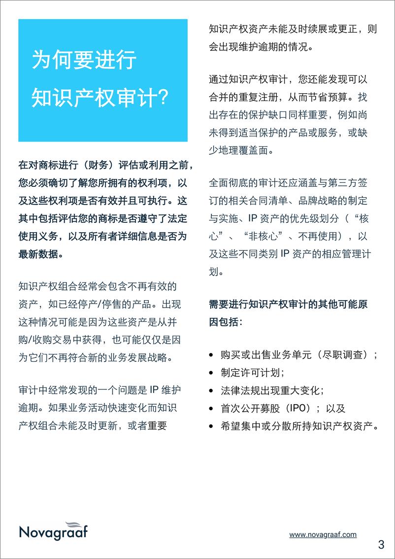 《商标审计最佳实践_实用指南》 - 第4页预览图