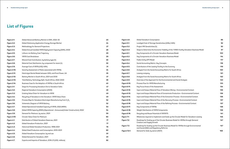 《世界银行-钒用于储能的循环商业模式（英）-2024-94页》 - 第5页预览图