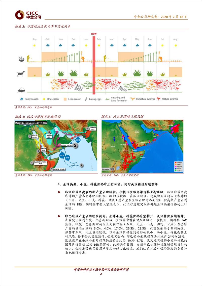 《农业：沙漠蝗灾波及印巴，对中国农业企业的潜在影响几何-20200218-中金公司-11页》 - 第4页预览图