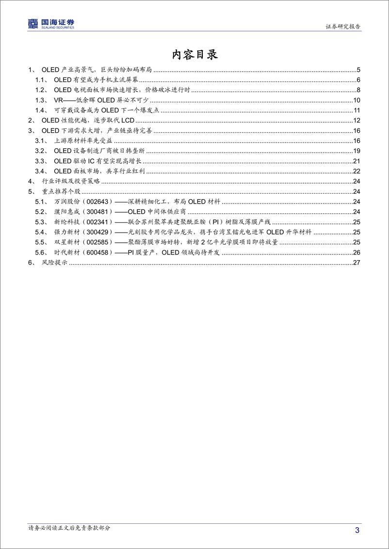 《化工行业专题报告：柔性显示大幕将启，关注OLED产业链投资机会-20190301-国海证券-29页》 - 第4页预览图