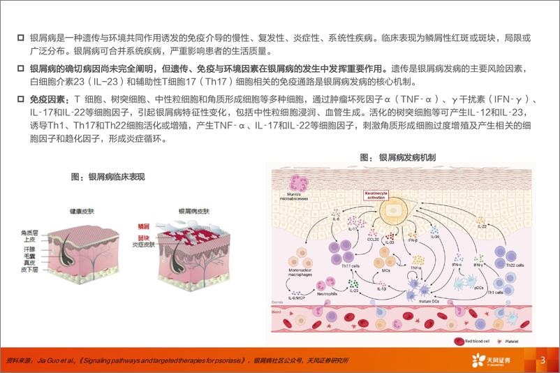 《医药生物行业：银屑病专题-240622-天风证券-28页》 - 第3页预览图