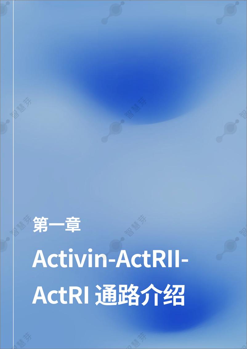 《智慧芽_2024年热门减肥增肌靶点调研及非临床研究策略报告》 - 第4页预览图