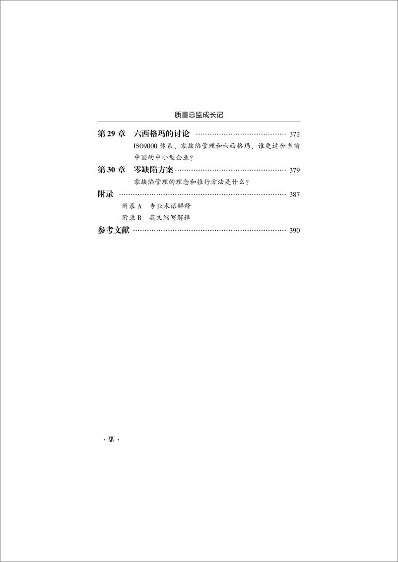 《质量总监成长记》 - 第16页预览图