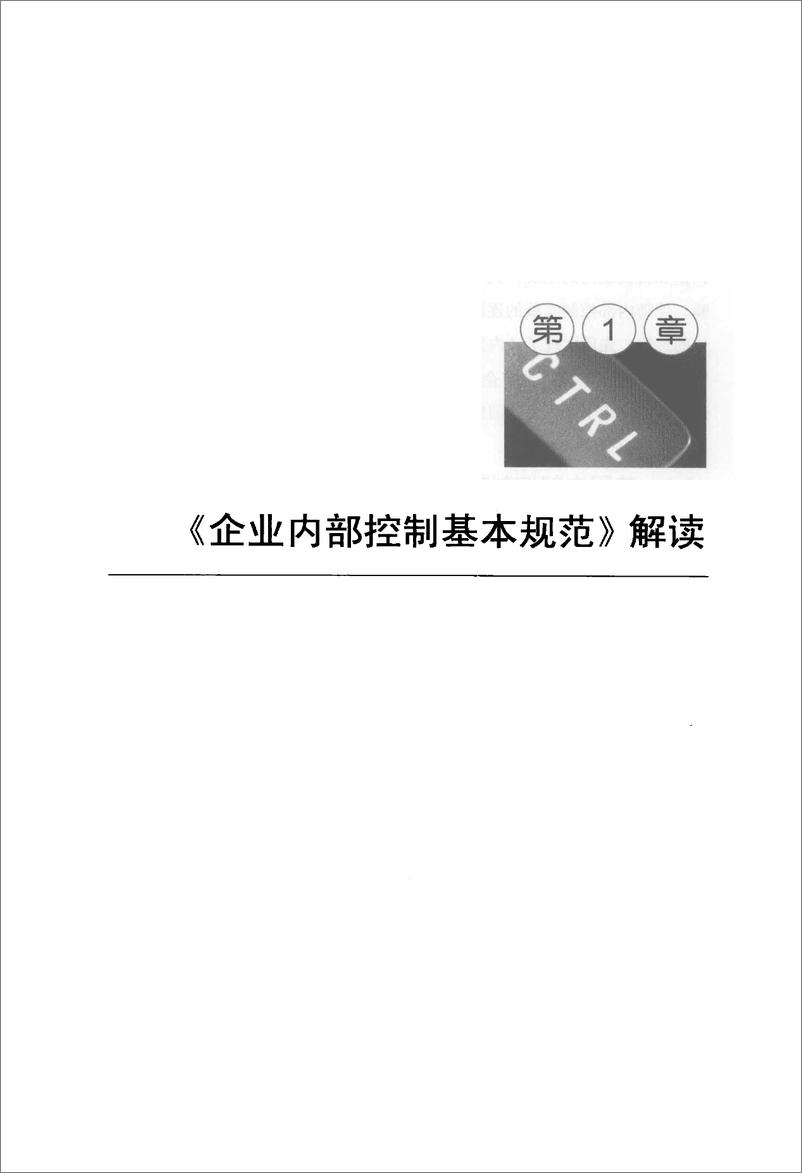 《企业内部控制基本规范》合规实务指南(粱晟耀) - 第12页预览图