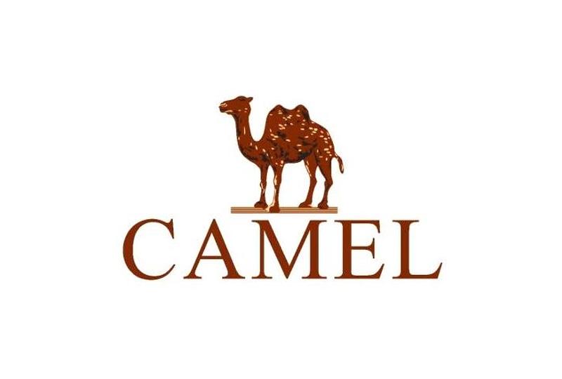 CAMEL骆驼.jpg