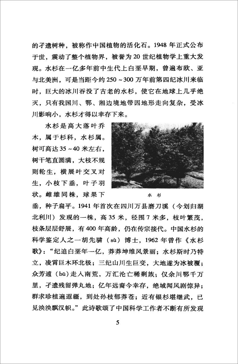 《中国读本：中国名物特产集粹》 - 第11页预览图