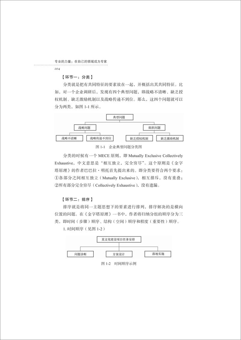 《专业的力量：在自己的领域成为专家》 - 第14页预览图