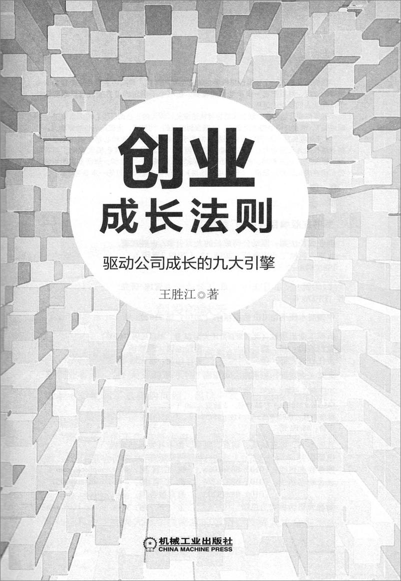 《创业成长法则：驱动公司成长的九大引擎》 - 第4页预览图