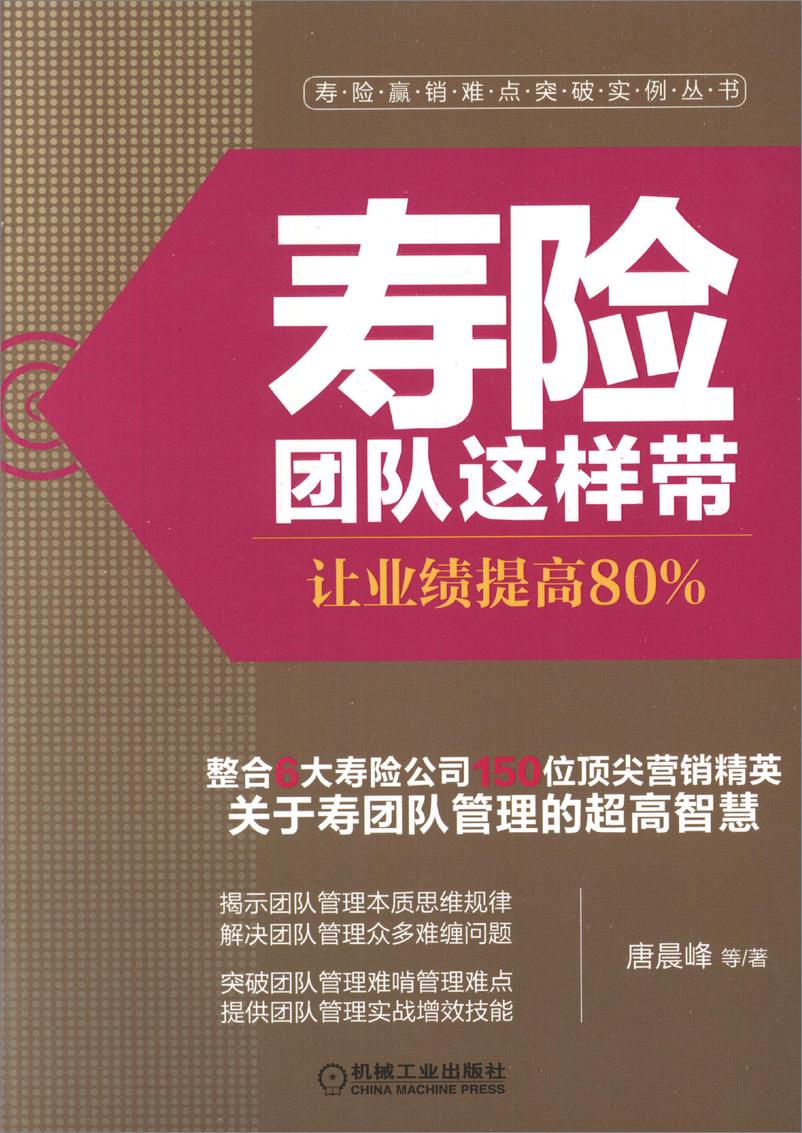 《寿险团队这样带：让业绩提高80%》 - 第1页预览图