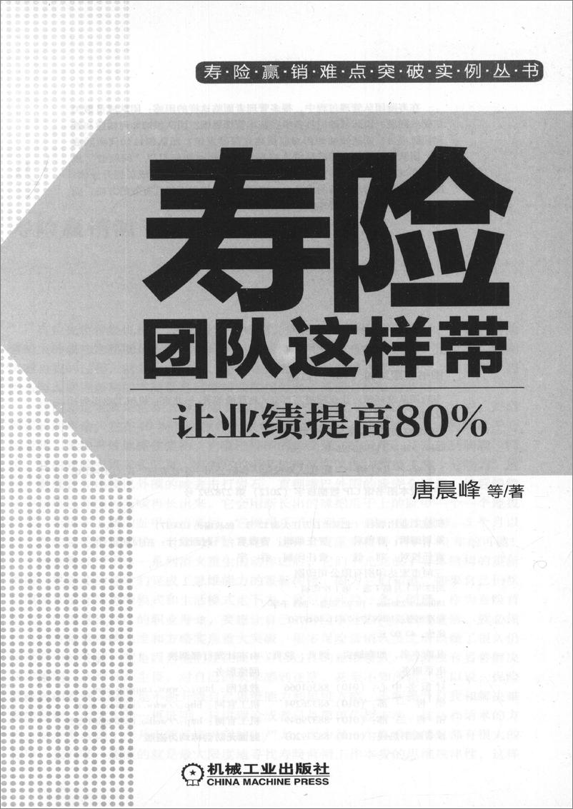 《寿险团队这样带：让业绩提高80%》 - 第3页预览图